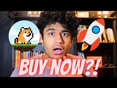 PLAY DOGE WILL 100X?! NEW PRESALE GEM!! P2E + PASSIVE INCOME