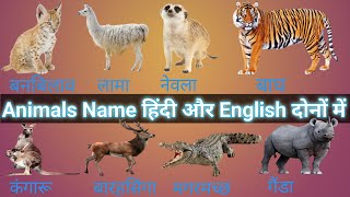 Animals name| animals name with pictures| #NAVYA KID TV | जानवरों के नाम | #art | #ejenalimusim3