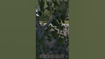 Волки особенно имба #раст #shorts #short