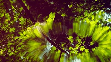 WATER REFLECTION, SHORT NATURE RELAXATION VIDEO + AMBIENT MUSIC, 4K