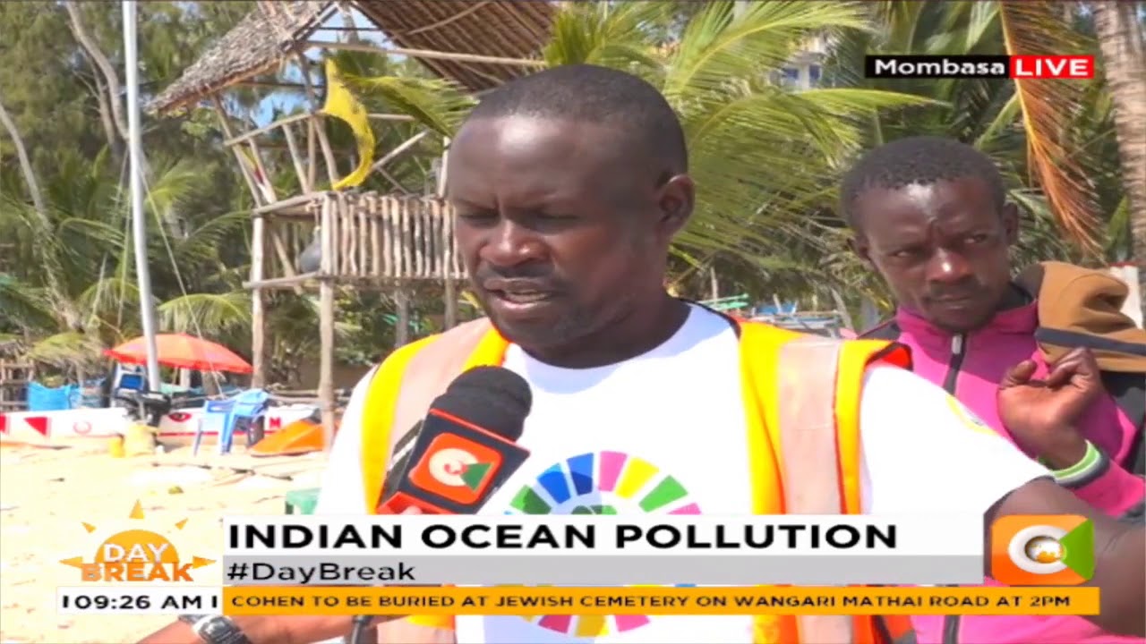citizen tv live stream kenya Indian Ocean pollution affecting sea animals