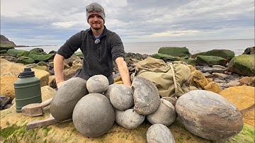We Found Giant Stones That Were Sealed for Millions of Years – Here’s Our Fossil Hunting Finds!