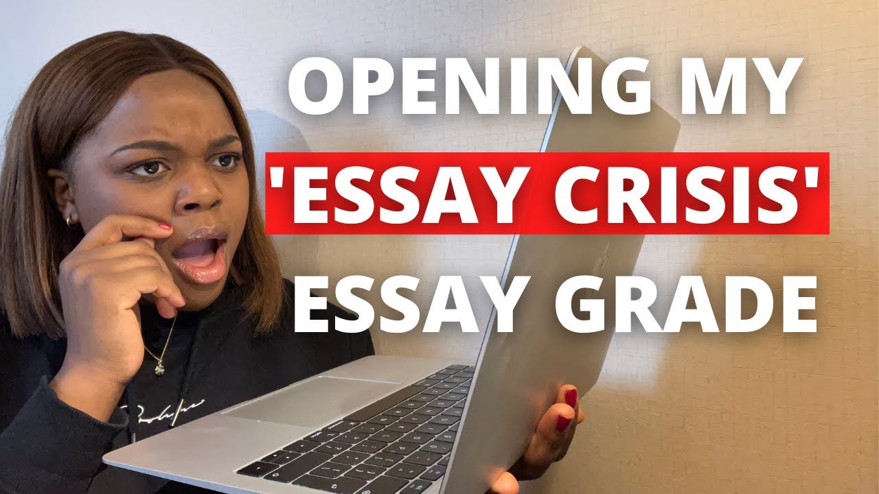 live essay grader live essay grader