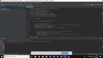 Selenium: Easy Guide to Automated Functional Testing Development with WebDriver, Autoit and IntelliJ