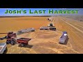 Josh's Last Harvest