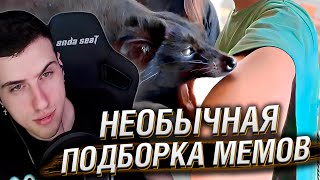 Необычная Подборка Мемов V268 | Реакция Hellyeahplay