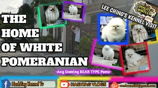 ANG DAMING WHITE BEART TYPE POMS (LEE CHING'S KENNEL) II HASHTAG VLOGS by HASHTAG VLOGS 2,444 views 1 year ago 16 minutes