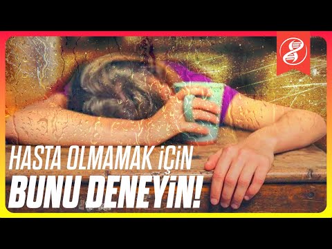 Video: Neden yazın sıcak, kışın soğuk?