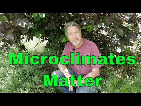 Video: Creating Microclimates: Causes Of A Microclimate And How To Make One
