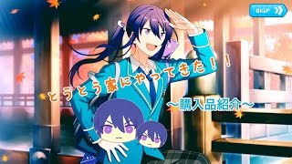 《購入品紹介》あんスタ✩おまんじゅうクッション！