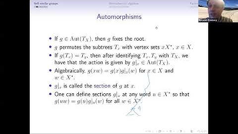 "Simplicity of Nekrashevych algebras of contracting self-similar groups", B. Steinberg, NYGT 10/8/20