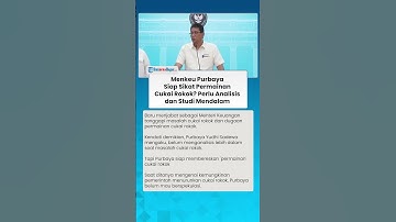 SIAP SIKAT PERMAINAN CUKAI ROKOK! Menkeu Purbaya akan Lakukan Analisis dan Studi Mendalam