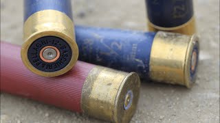 🔊 Free Shotgun Reloading & Shooting Sound Effect
