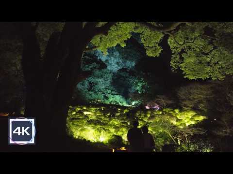 Relaxing Night Walk in Japan | Amazing Japanese Garden 1/2 | Takeo, Mifuneyama Rakuen | 4K ASMR