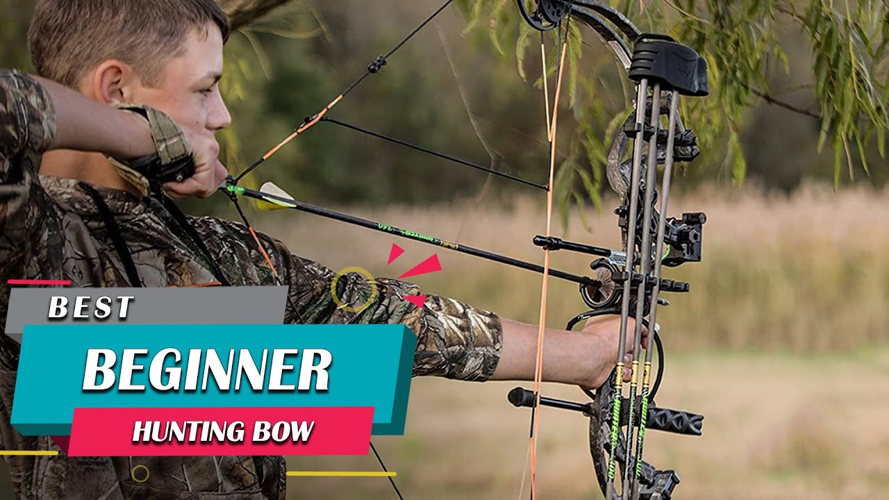 Top 5 Best Beginner Hunting Bow [Review] - Adult Compound Hunting Bow ...