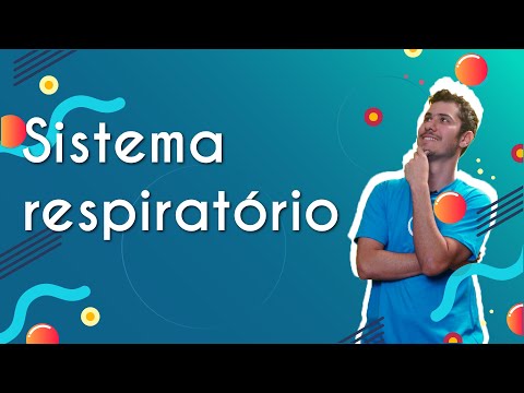 Vídeo: Foi o sistema respiratório?