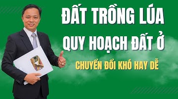 Đất trồng lúa quy hoạch đất ở chuyển đổi có khó không I Phạm Văn Nam