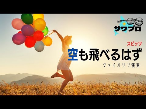【 空も飛べるはず 】    ヴァイオリン演奏　#バイオリン #耳コピ #即興 #空も飛べるはず #スピッツ