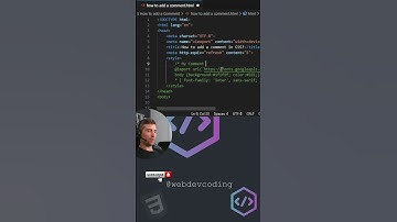 🗨️Add a Comment in #CSS