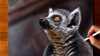 How to draw a Lemur - Time Lapse (Long Version)