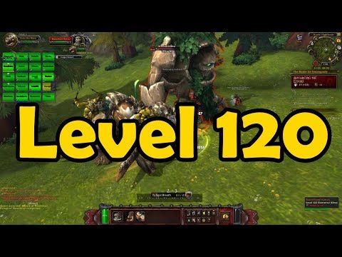 I'm 120 Now, Lets Do Warfronts - I'm 120 Now, Lets Do Warfronts