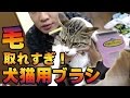 毛取れすぎ！犬猫用ブラシ！ファーミネーター！