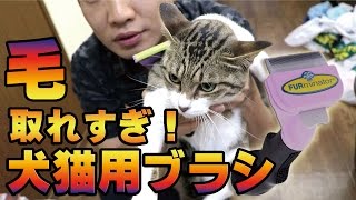 毛取れすぎ！犬猫用ブラシ！ファーミネーター！