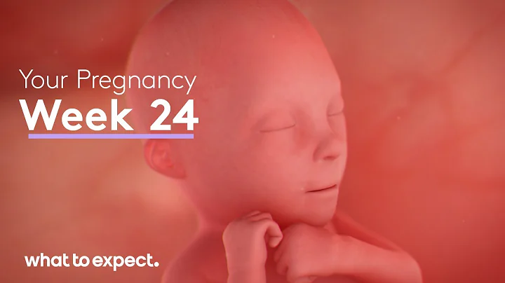 24 Weeks Pregnant - What to Expect