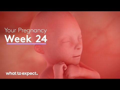 Video: I vilken position är barnet vid 24 veckors graviditet?