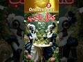 الوفاء طريق الكمال نحو الحب أعظم اقوال وحكم واقتباسات وأقوال علي بن جابر الفيفي على ظهر كتاب 