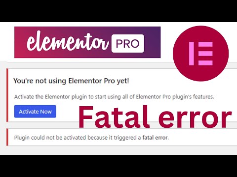 Elementor Not Working?