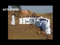 vabati vaJehovha tirimo munzira official video 2007 production