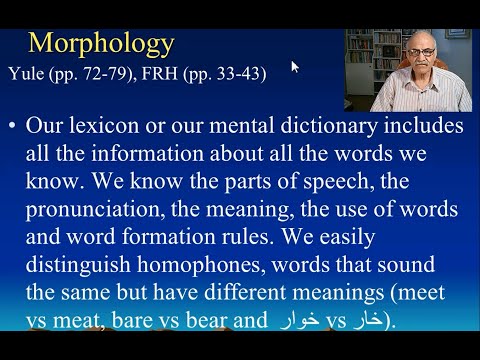 Morphology Part 1 - زبانشناسی - ساخت واژه قسمت 1