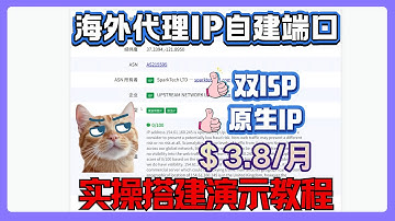 海外代理IP自建端口教程，美国独享长效静态仅需3.8刀一个月！