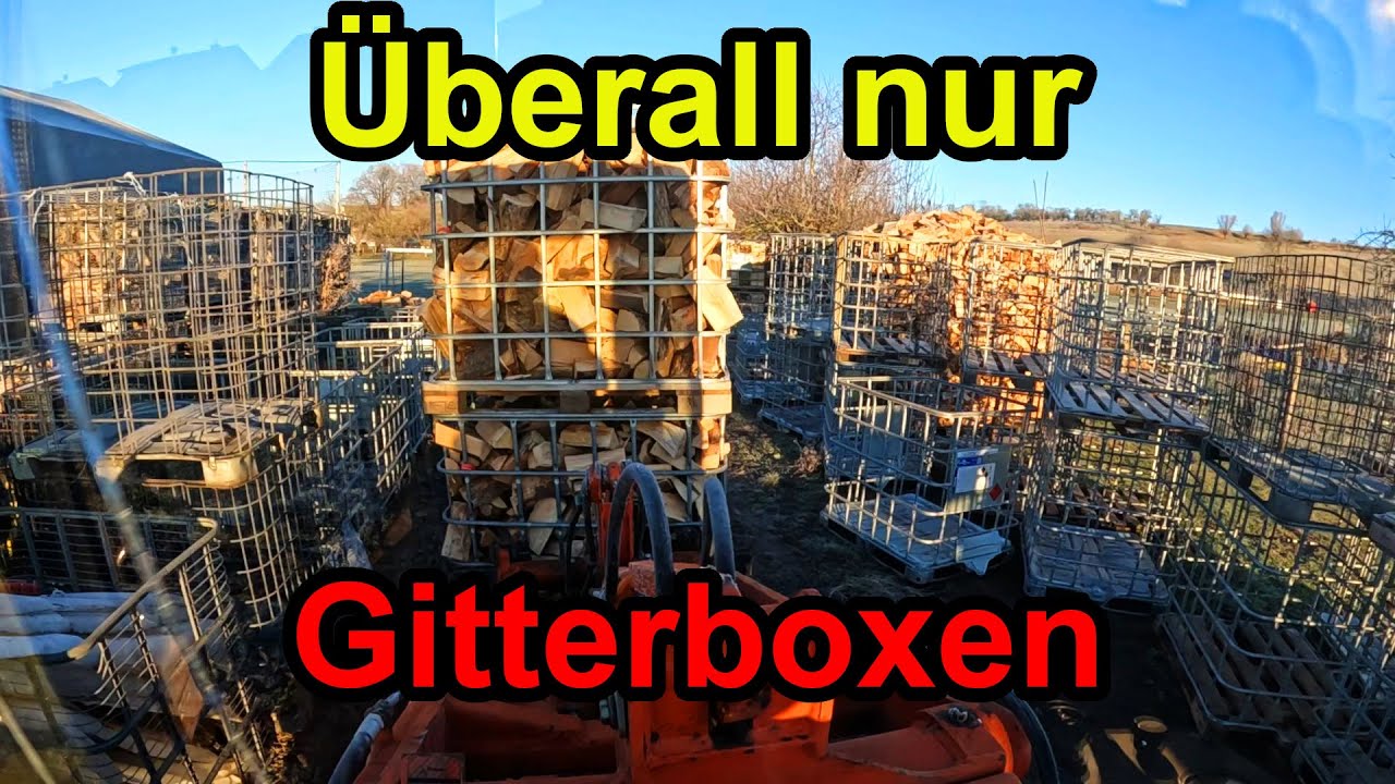 Das letzte Holz kommt aus dem Wald - und ich spiele Gitterboxen-Tetris