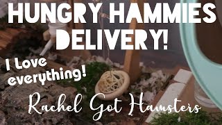 Hungry Hammies Shop Experience // a hamster toy haul we all loved!