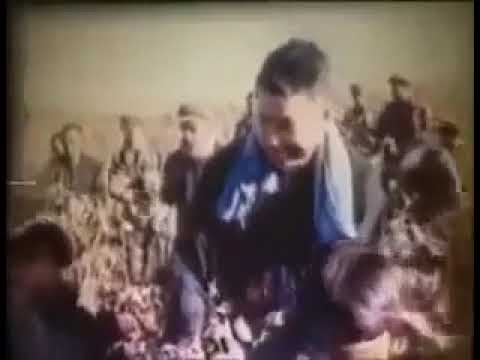 Pol Pot. Tribute to a real one
