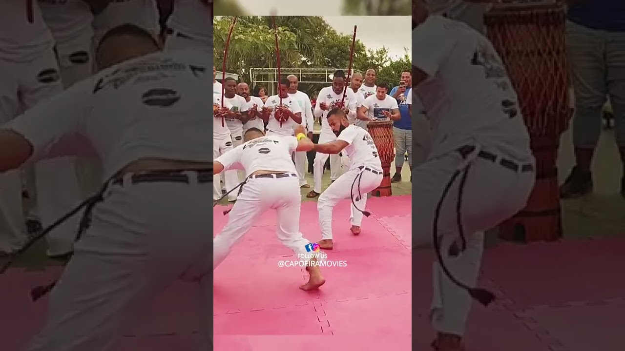A única luta no mundo que ataca floreando 🤩