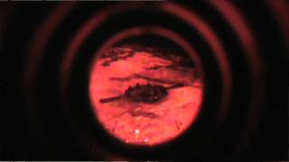 TOP Shot Elite How To Guide Video 5: Red Lens screenshot 5