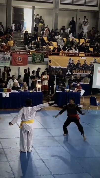Story Wa Pencak silat Fighter