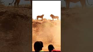 León asecha a futbolistas africanos #viral #shorts