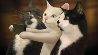 Ultimate Compilation Of The Funniest Memes #9