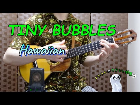 Tiny Bubbles - POBER LEON