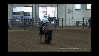 Laredos Freckle And Melissa Hood Novice Krha