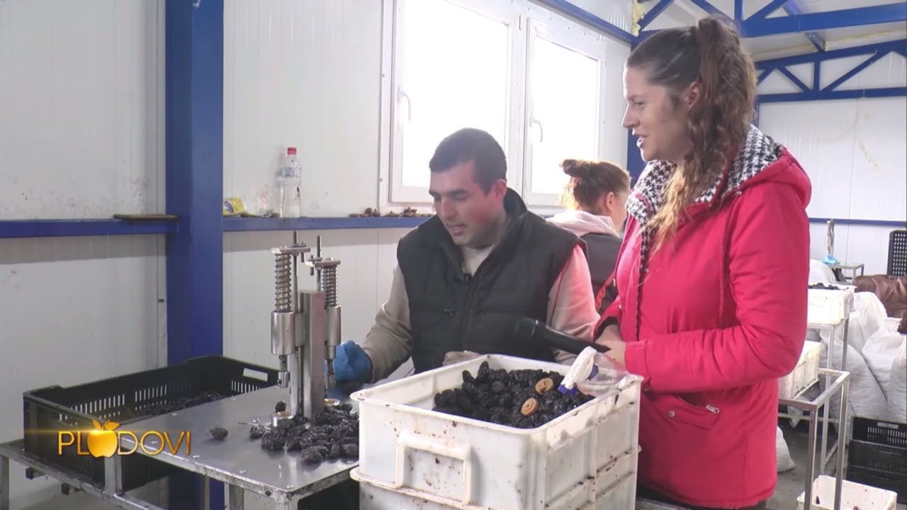 TV PRVA - Plodovi: Braća Djurdjević suše šljivu i finaliziraju u gotov proizvod