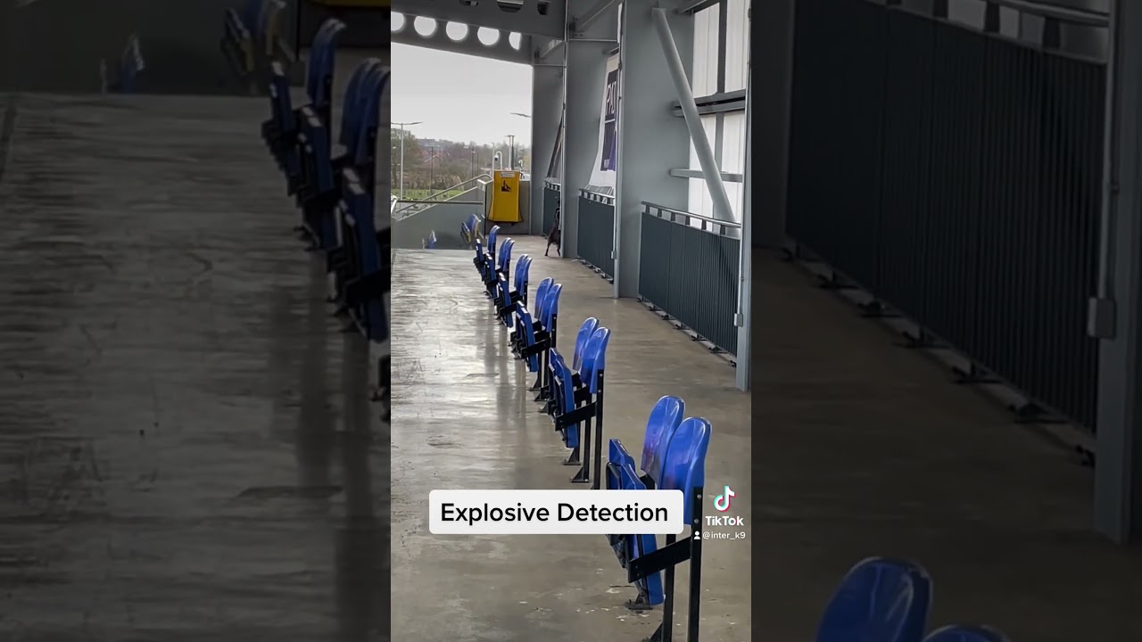 Venue Search (Bomb dog)