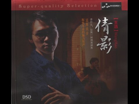 付上千万倍 - 王浩 - Wang Hao - Vương Hạo