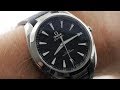 Omega Seamaster Aqua Terra (220.12.41.21.01.001) Omega Watch Review