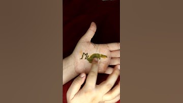 Comment your Name 😍😍 #mehndi #viralvideo #nameart #trending #tattoo #shorts #art