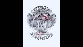 Erfingjar stormsins - Við öndum